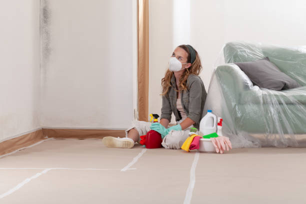 Reliable Black Mold Removal contractor in Springfield, MN by WQB Mold Removal